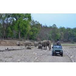 Multi Sport Activity Trip Rajaji National Park 2N/3D